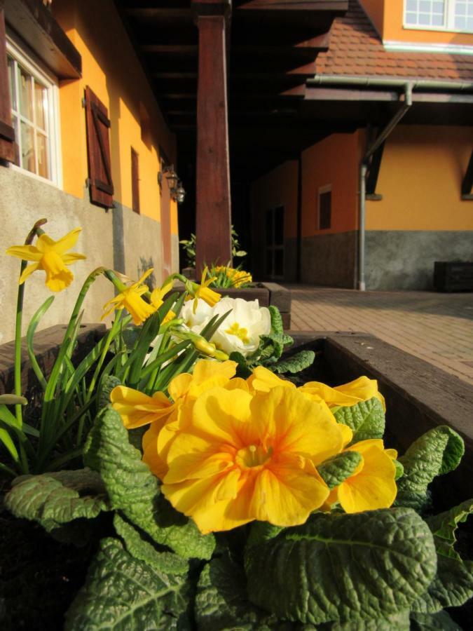Maison D'Hotes La Ferme Pierre*** Donnenheim Kültér fotó